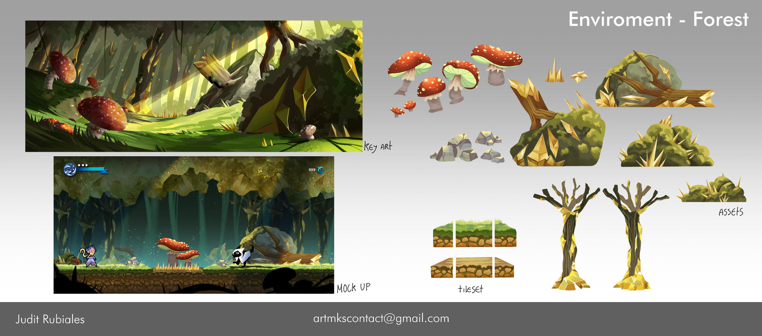 Petrified forest - concept